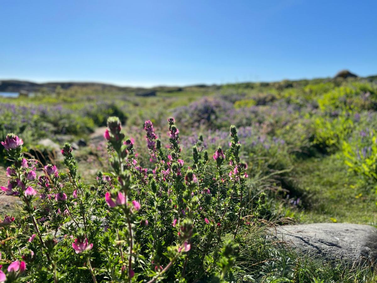 Leilighet Ny I Nevlunghavn Larvik