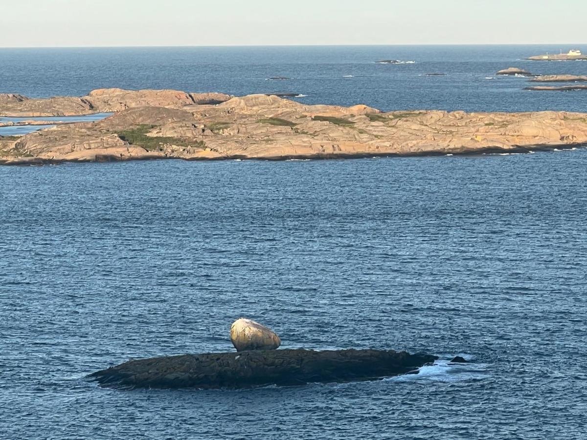 Leilighet Ny I Nevlunghavn